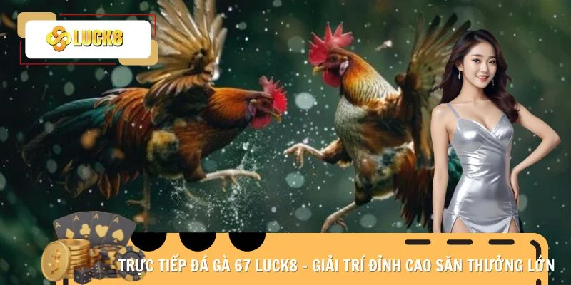 Trực tiếp đá gà 67