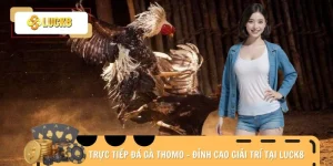 Trực tiếp đá gà Thomo